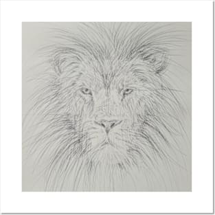 Lion by Mila Posters and Art